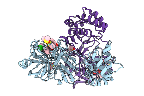 9SDM image