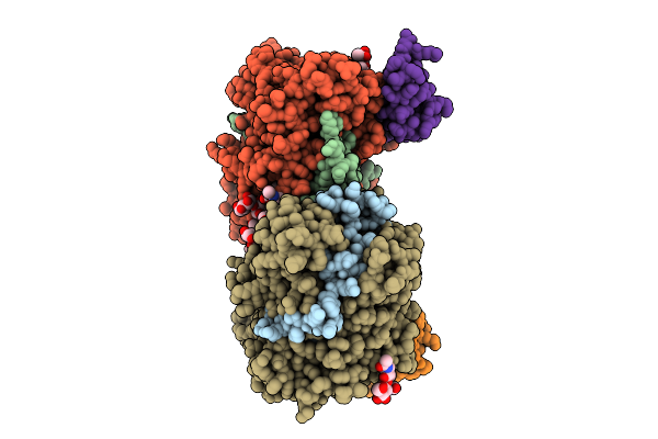 9SDS image