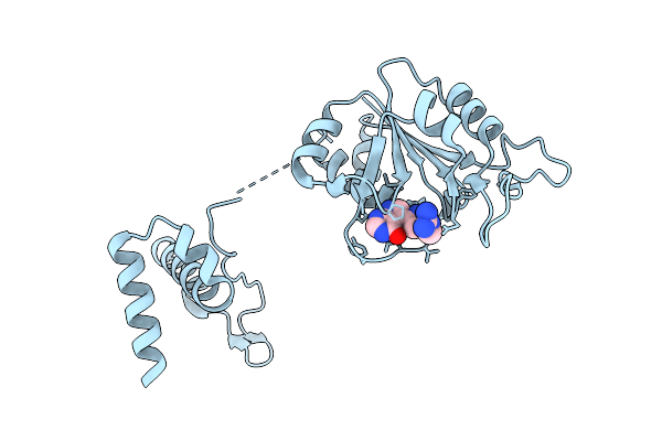 9SDW image