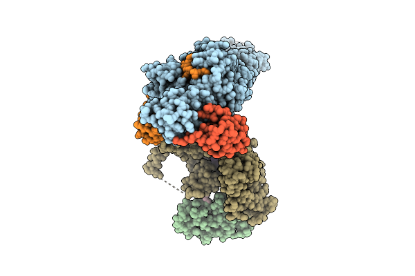 9SDX image