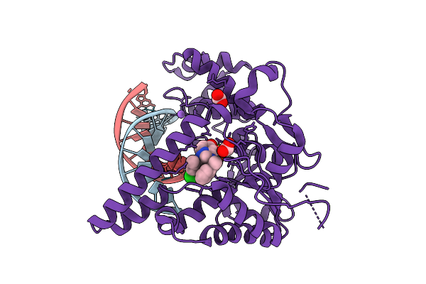 9SEB image