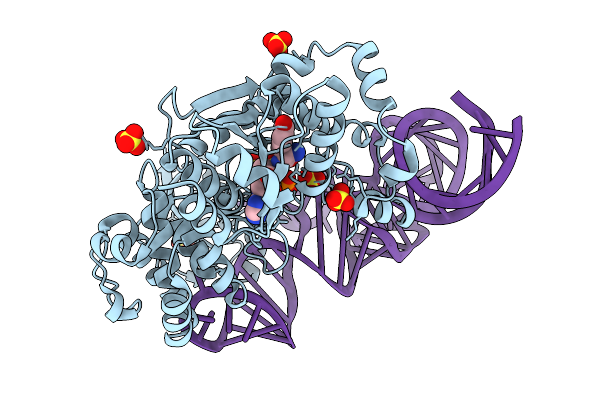 9SFB image