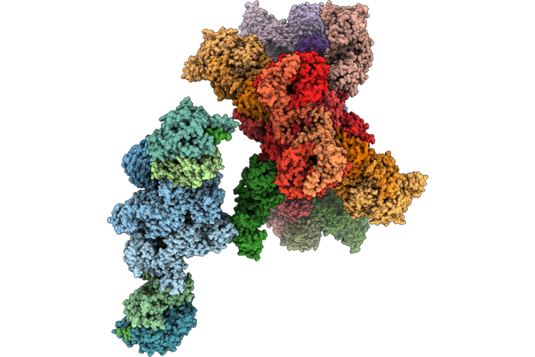 9SFI image