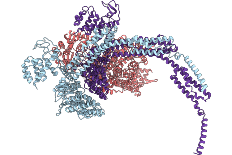 9SFN image