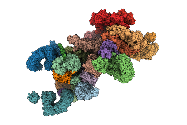 9SFP image