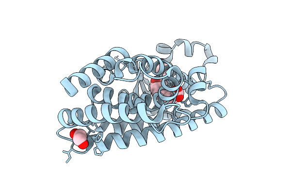 9SFS image