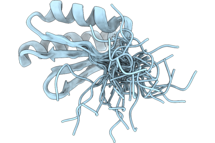 9SGJ image