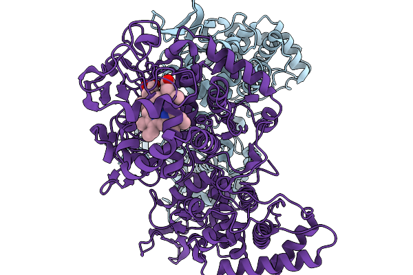 9SGO image