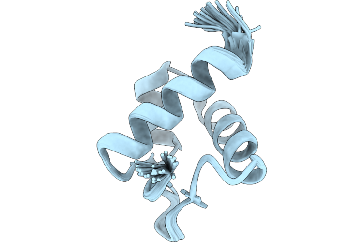 9SGV image