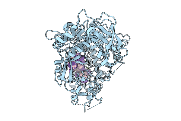 9SHP image