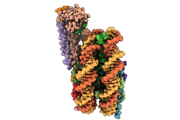 9SI9 image