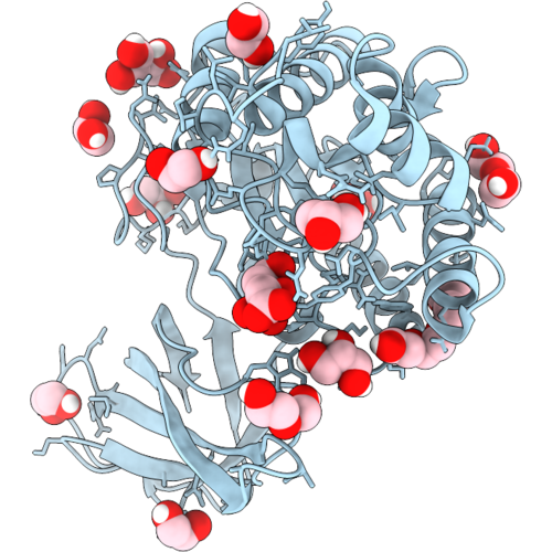 9SIJ image