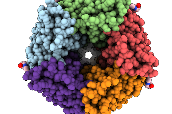 9SIO image
