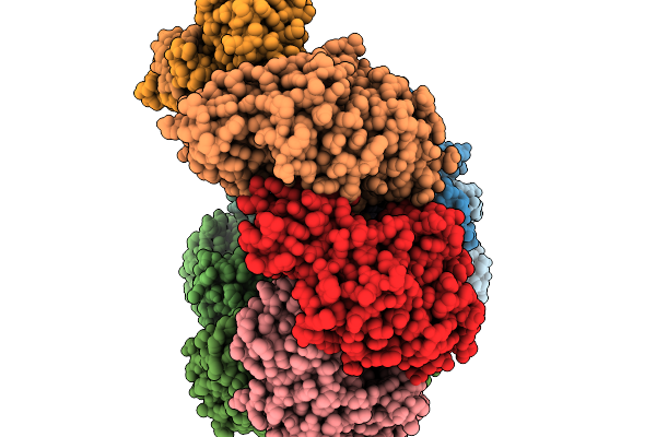 9SIT image