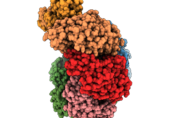 9SIU image