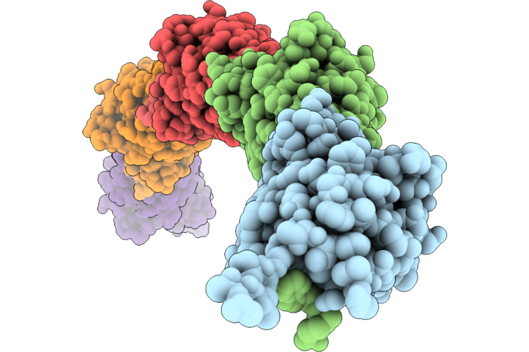 9SJ2 image