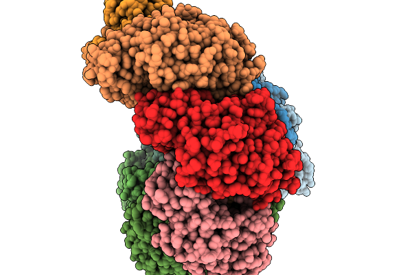9SJD image