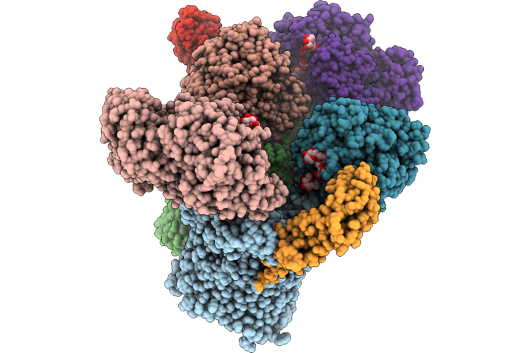 9SJE image