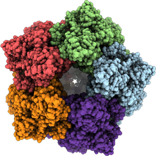 9SLL image