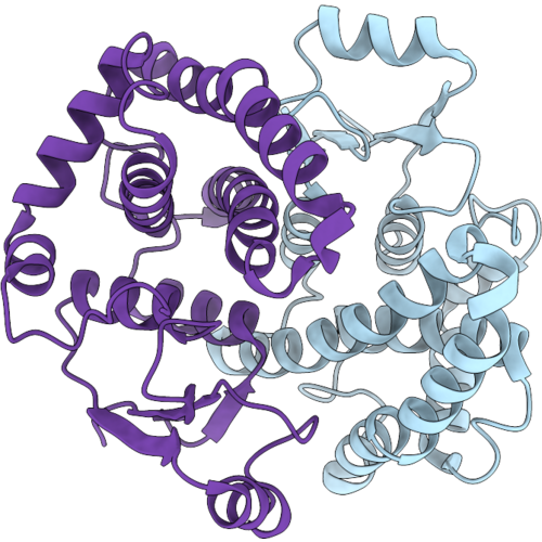 9SLT image