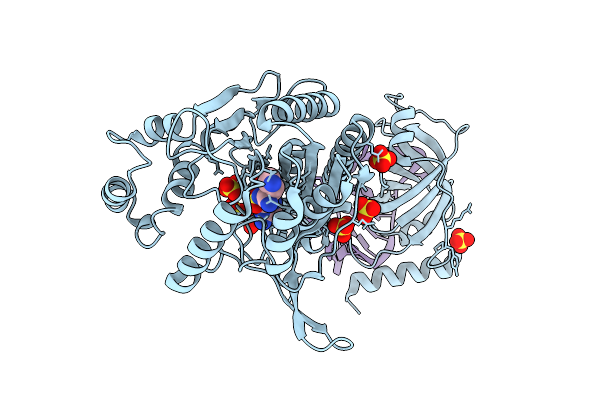 9SLZ image