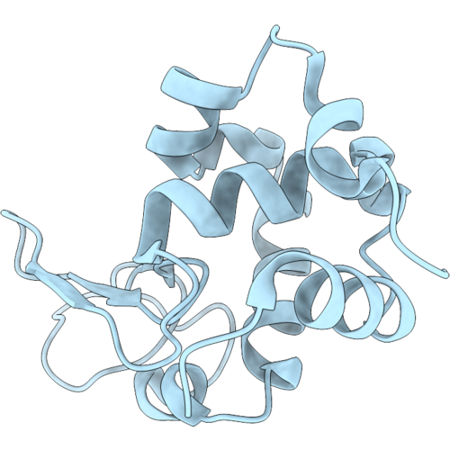 9SMC image