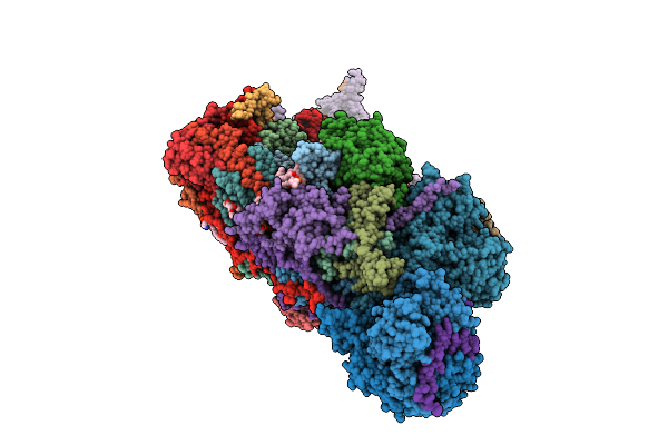 9SMF image