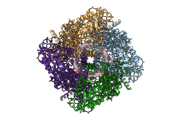 9SMK image