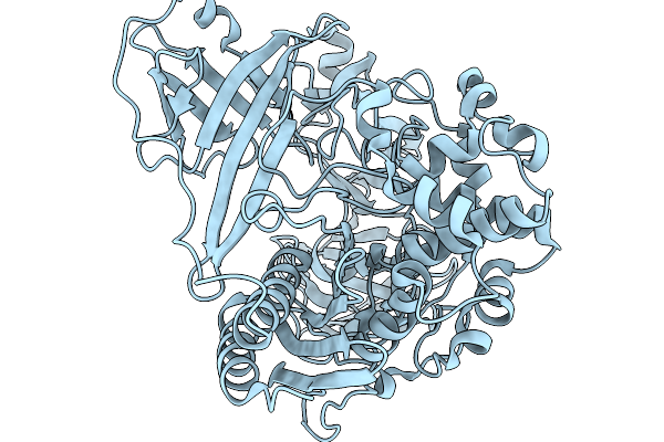 9SN1 image
