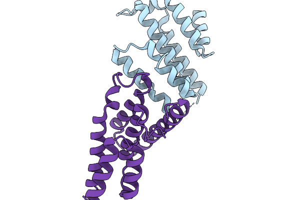9SNV image