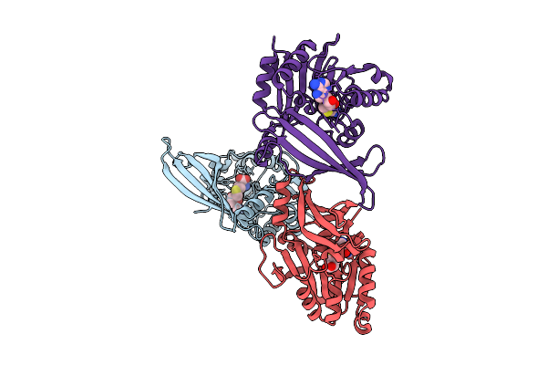 9SOT image