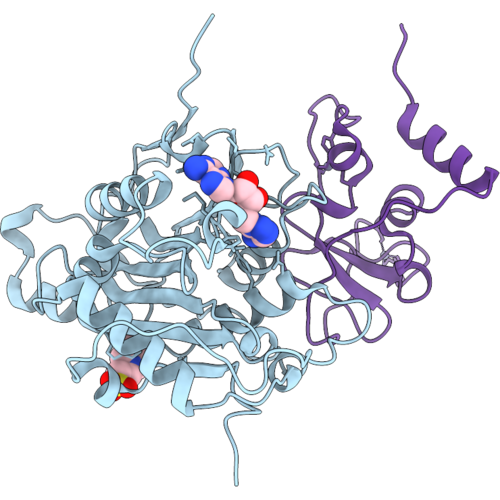 9SP1 image