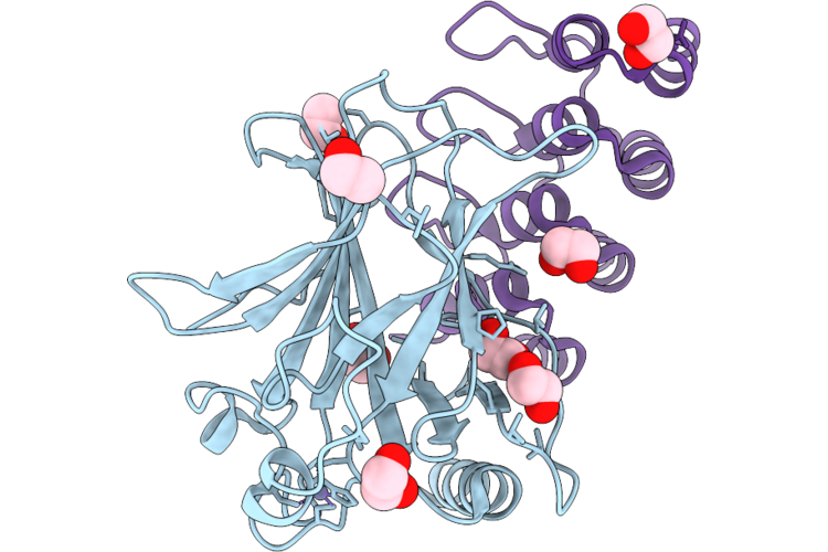 9SPP image