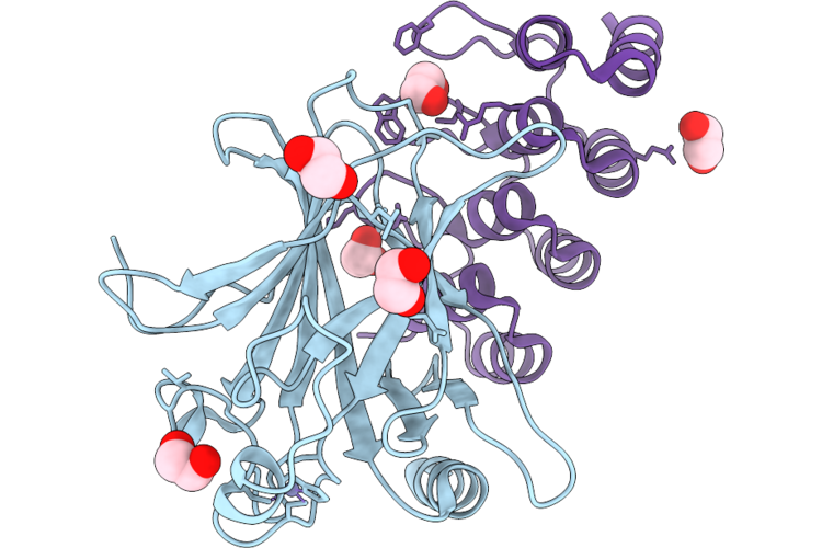 9SPR image
