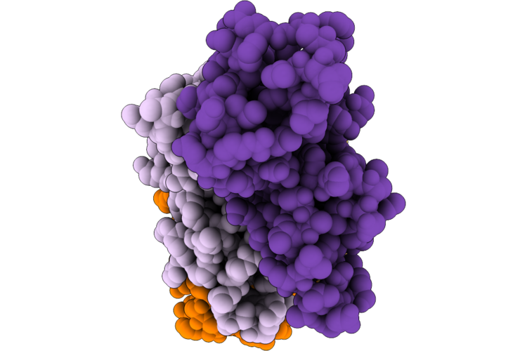 9SPV image