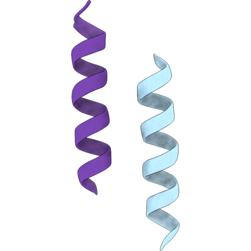 9SR1 image