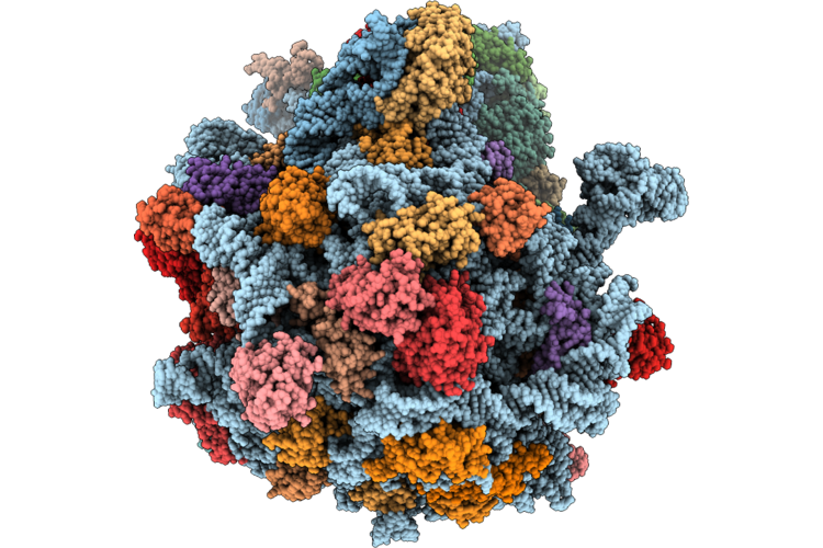 9SRA image