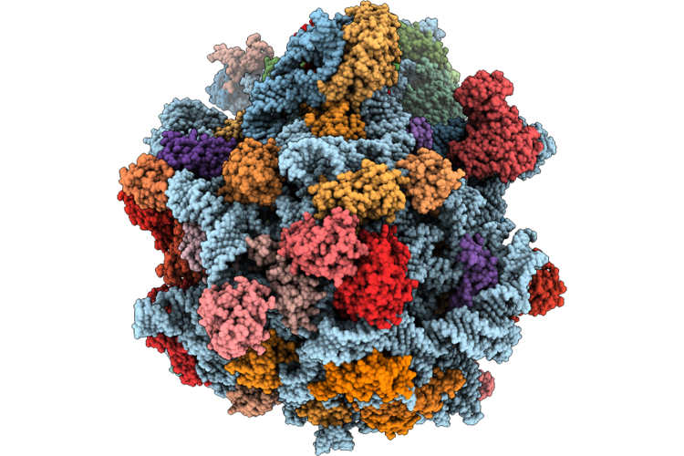 9SRE image