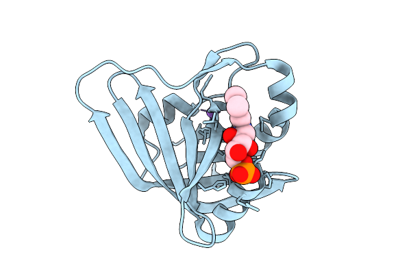 9SRG image