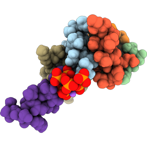 9SRH image