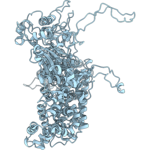 9SRR image