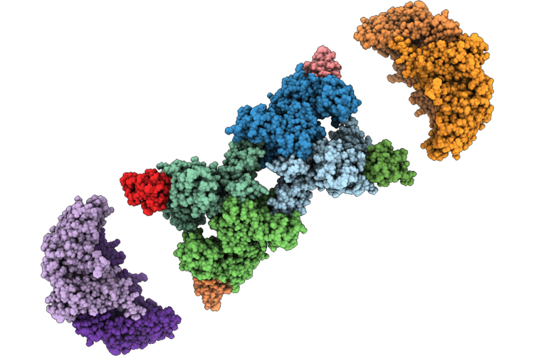 9SRX image