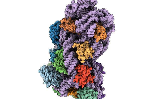 9SS2 image