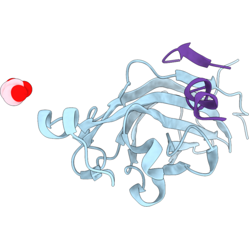9SS3 image