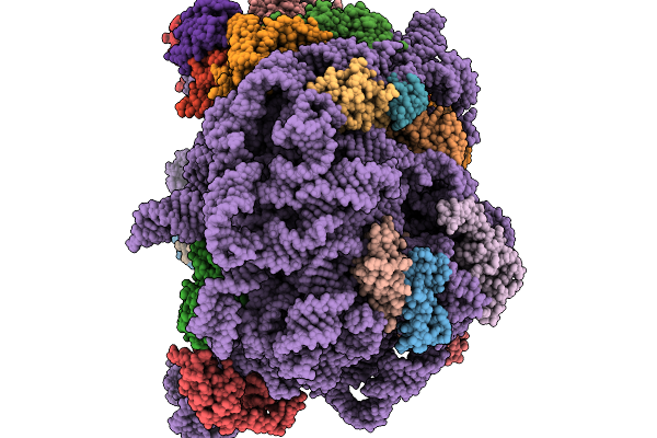 9SS4 image