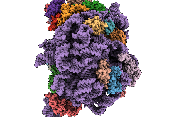 9SS5 image