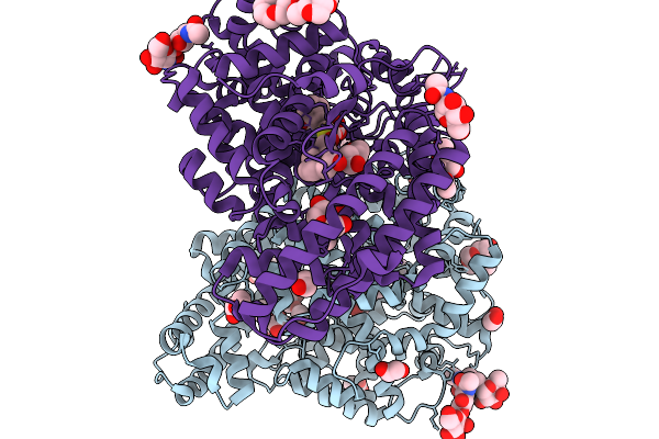 9SS8 image