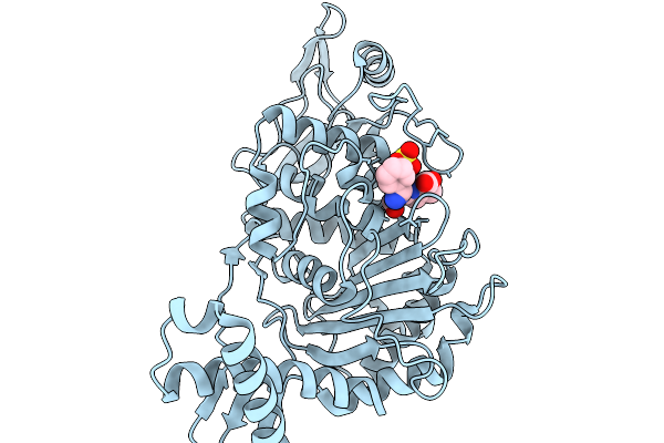 9SSG image