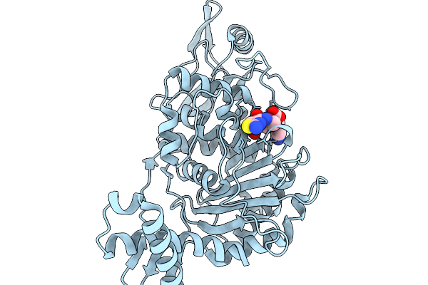 9SSI image