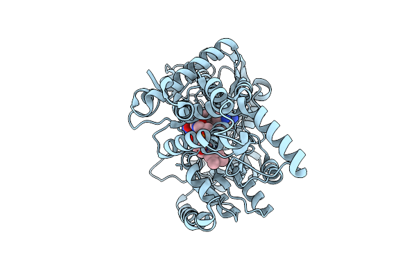9SSS image